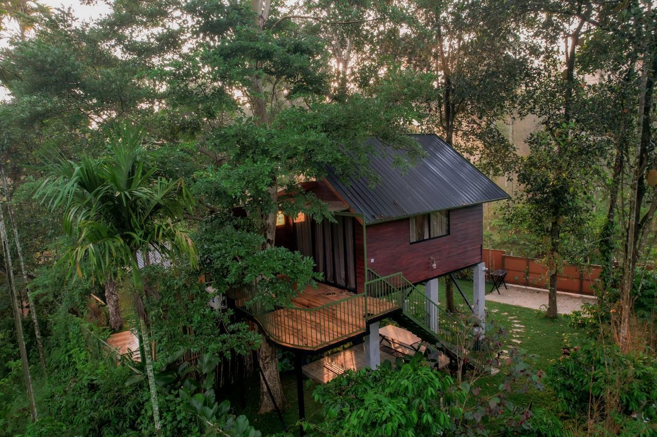 Tree House