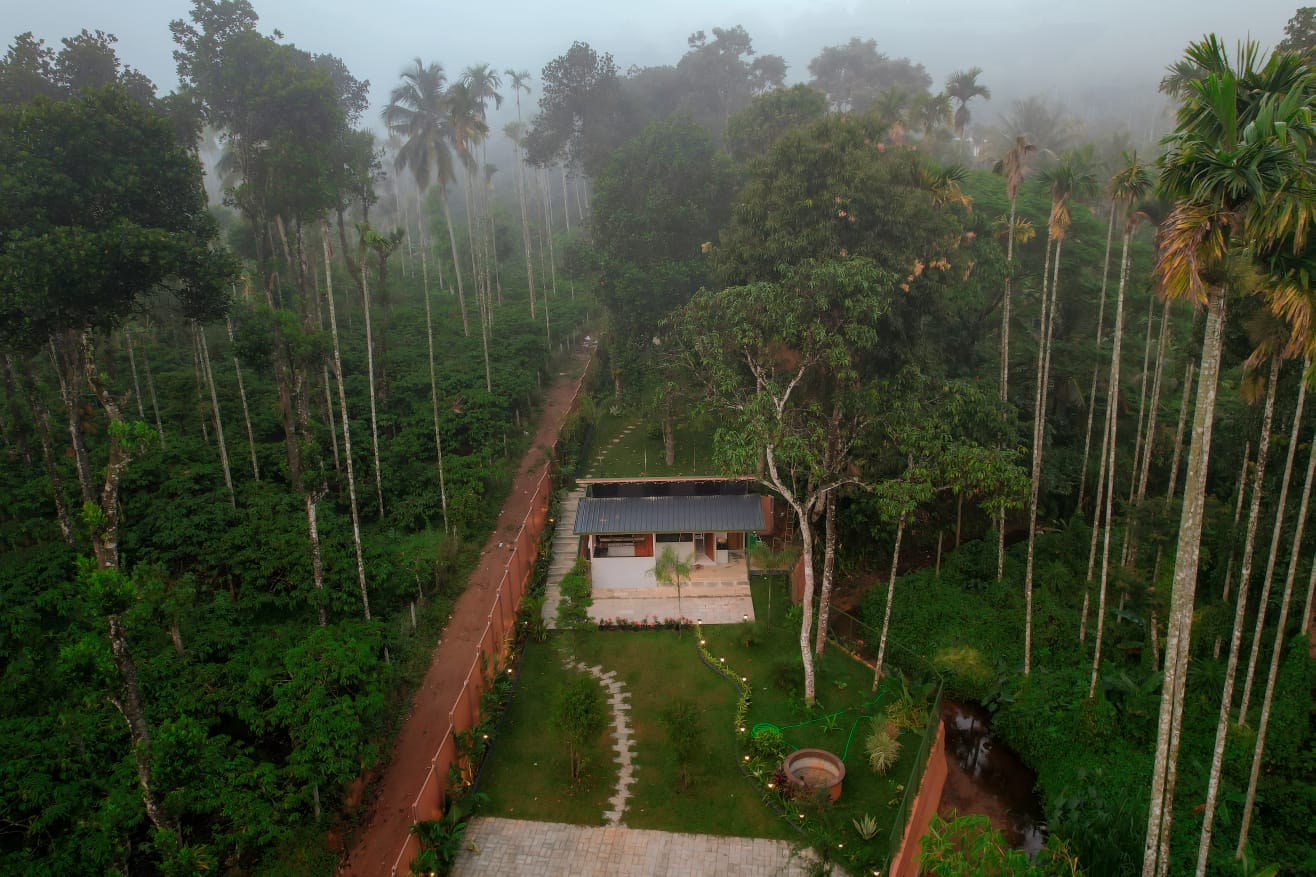 Aerial view of Windleaf cottage in misty forest