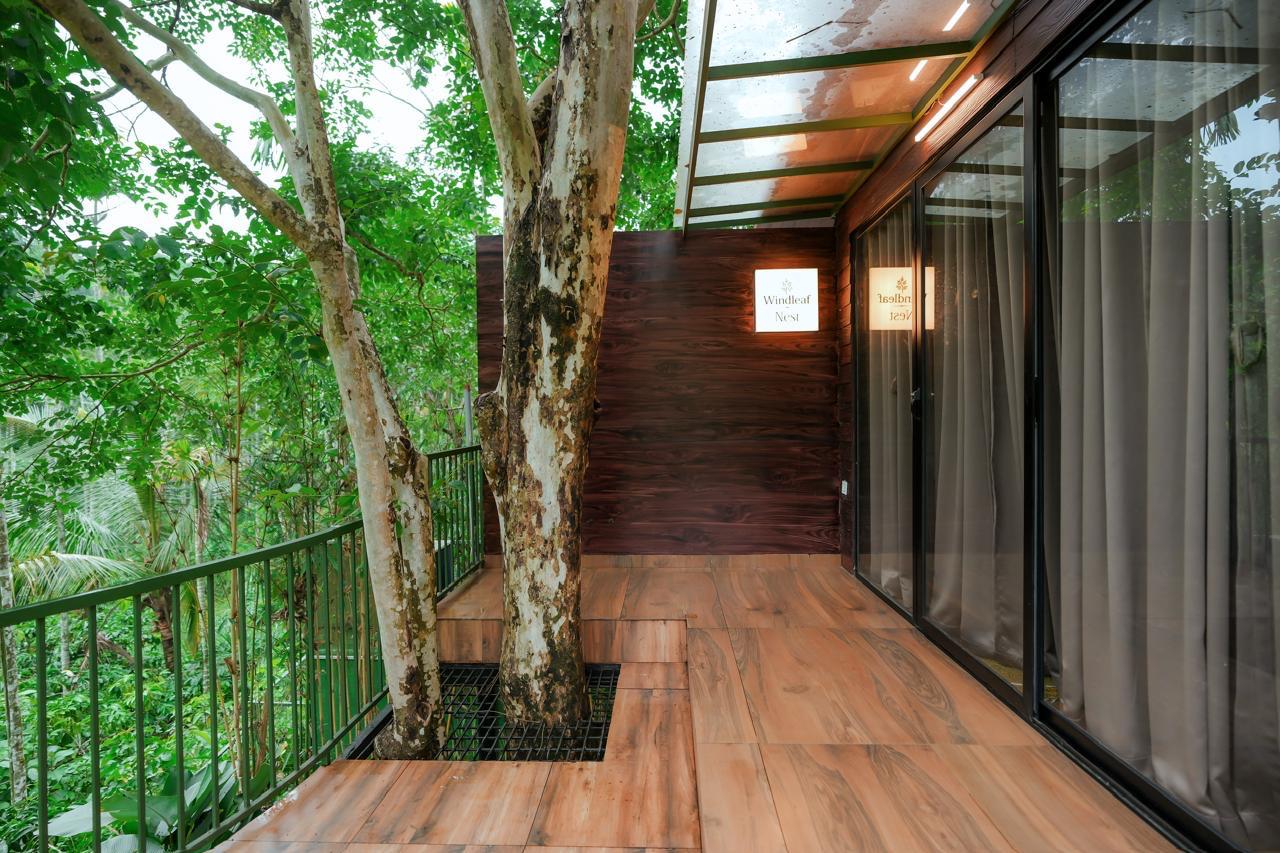 Tree-hugging balcony with Windleaf Nest signage