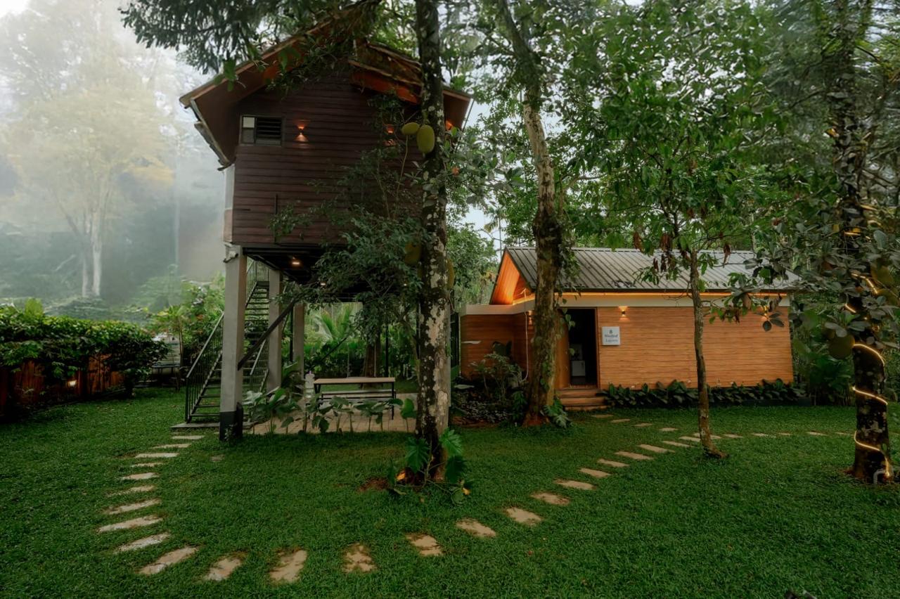 Wooden cottage and treehouse at dawn